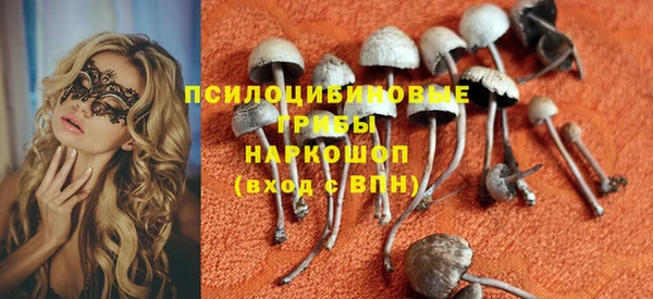 ECSTASY Строитель