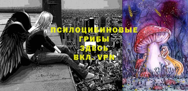 ECSTASY Строитель