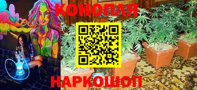 2c-b Кингисепп