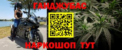 2c-b Кингисепп