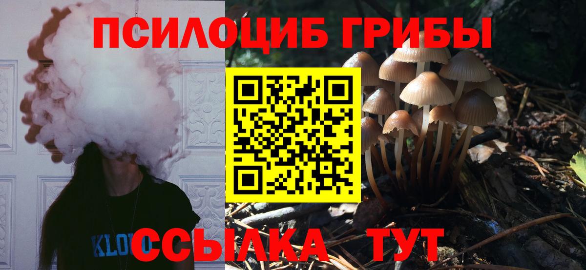 Псилоцибиновые грибы GOLDEN TEACHER Санкт-Петербург